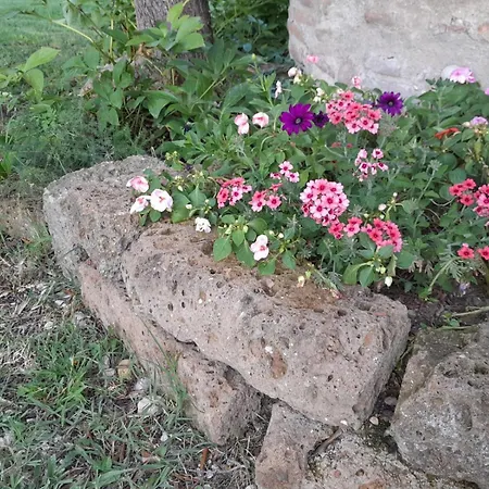 Casa Montesel Apartment Custoza